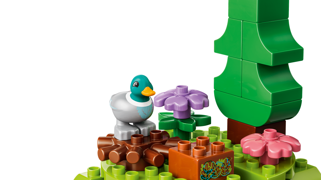 LEGO DUPLO Discovery Forest with Wild Animals Set 10480
