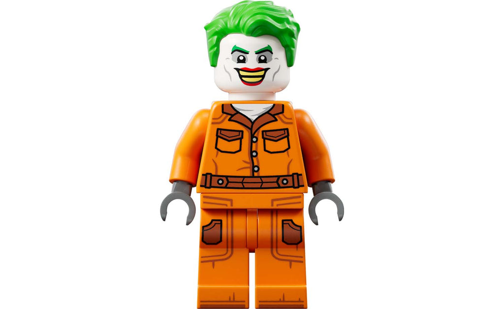 LEGO DC Arkham Asylum Set 76300