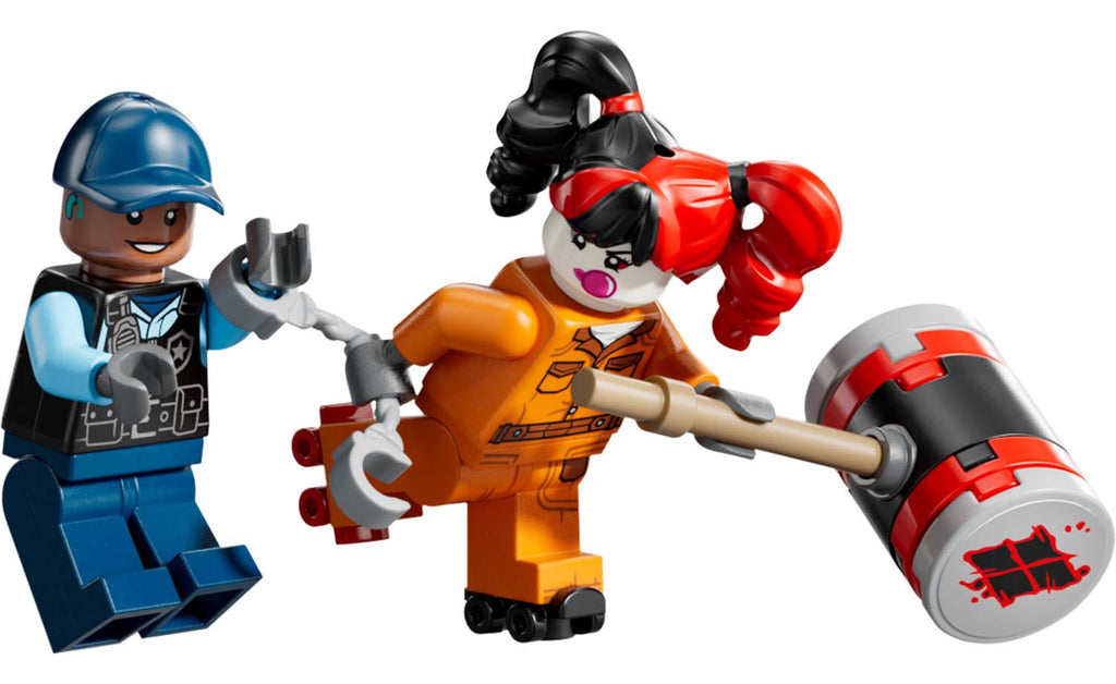 LEGO DC Arkham Asylum Set 76300