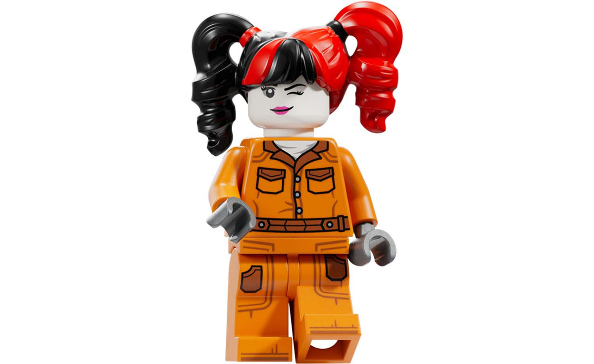 LEGO DC Arkham Asylum Set 76300