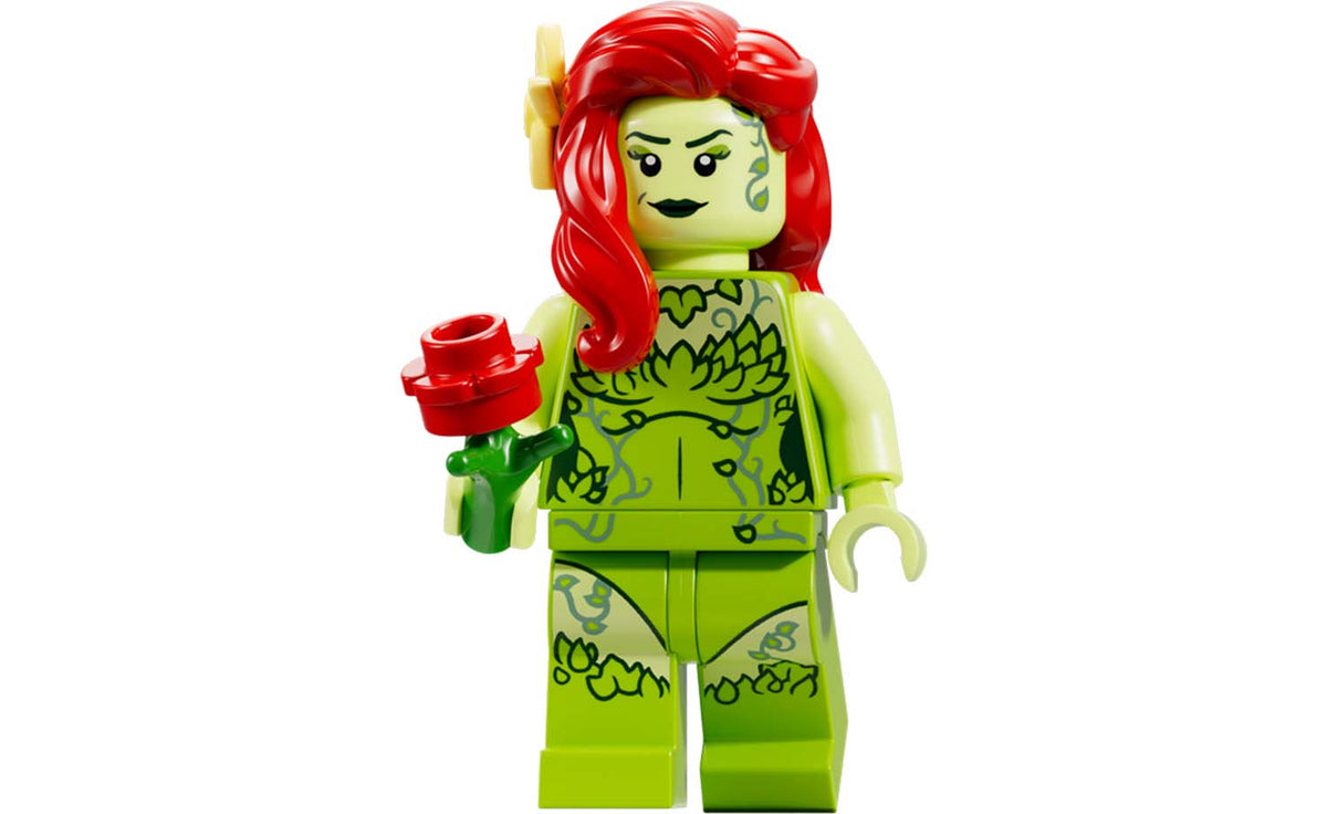 LEGO DC Arkham Asylum Set 76300
