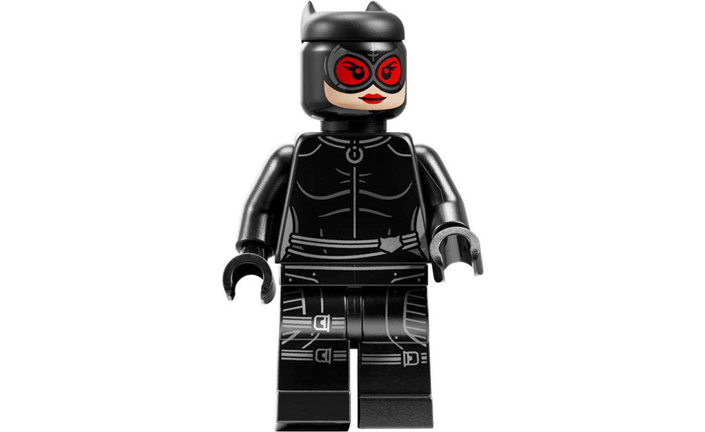 LEGO DC Arkham Asylum Set 76300