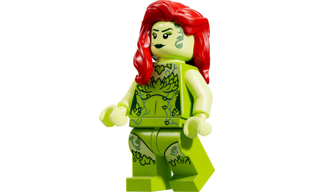 LEGO DC Arkham Asylum Set 76300