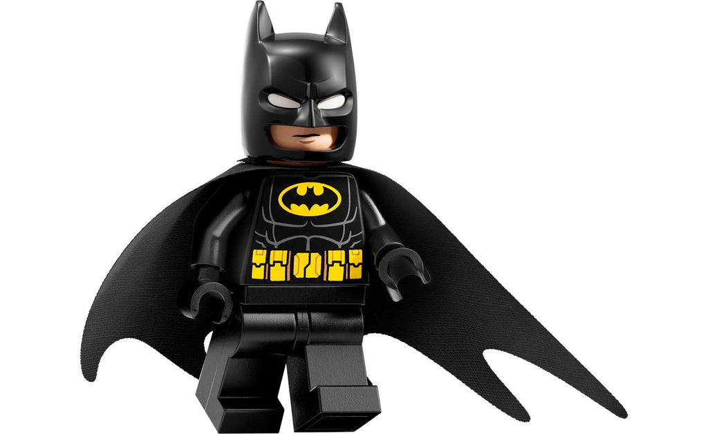 LEGO DC Arkham Asylum Set 76300