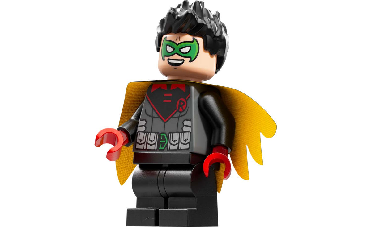 LEGO DC Arkham Asylum Set 76300
